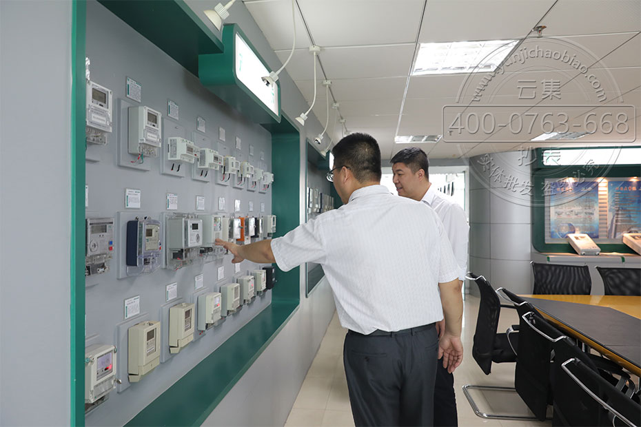 泰瑞捷远程电能表演示