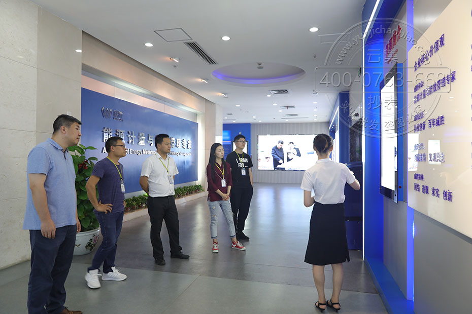 ²Î¹ÛÍþʤµçÄÜ±í³§¼Ò