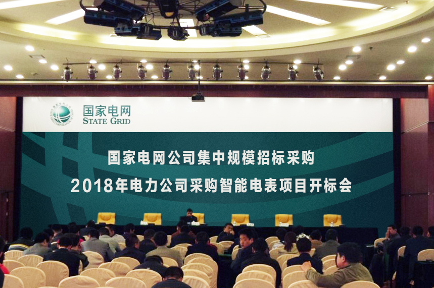 国家电网集中招标智能电表
