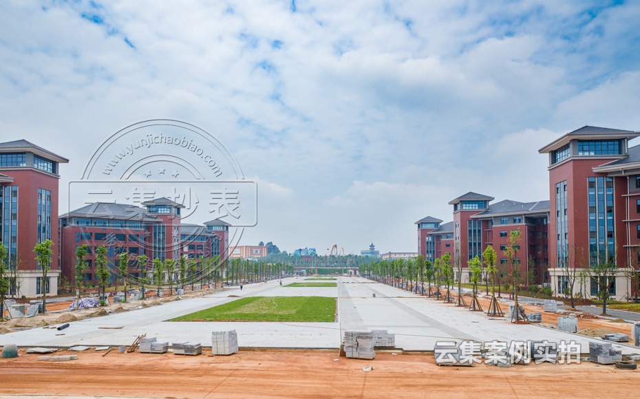 ¸ßУԶ³Ì³±íϵͳ