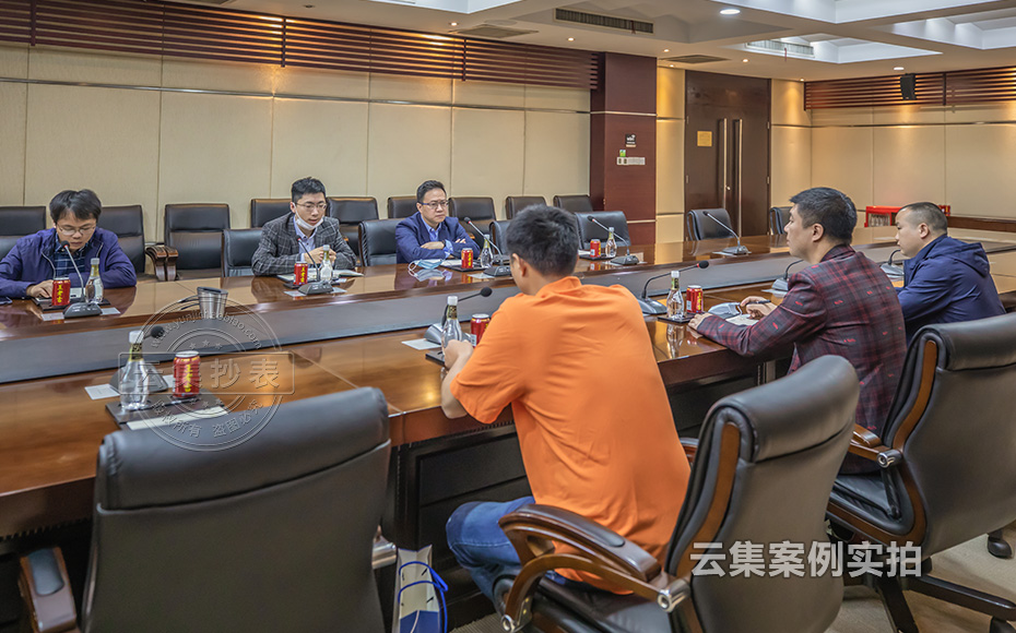 ½ËÕÁÖÑóµç±í³§¼Ò