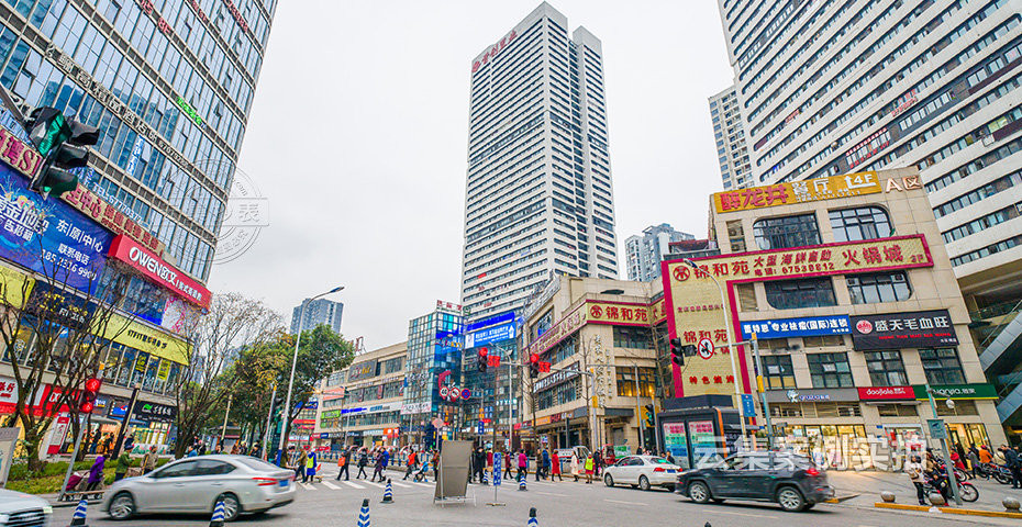 É̳¡Ô¶³Ì³±íÈí¼þ