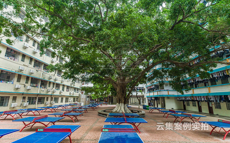 ÖÐѧµç±í³±íϵͳ