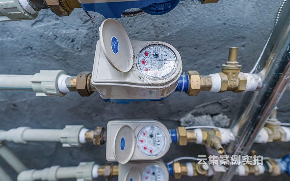 Ð¡ÇøÔ¶³ÌË®µç³±íϵͳ