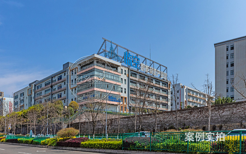 4GÎÞÏßÈýÏàµç±í